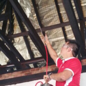 Roof treatment 8