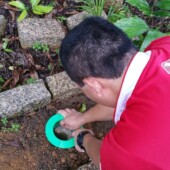 Technician installing a termite bait station in garden soil
