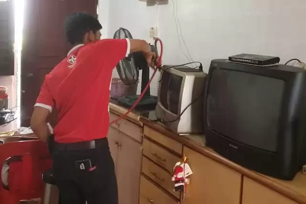 2-crucial-steps-to-take-if-your-home-is-infested-with-pests