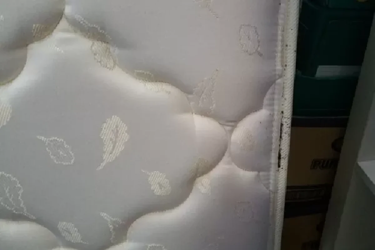 3-practical-tips-to-eliminate-bed-bugs-from-your-bedroom