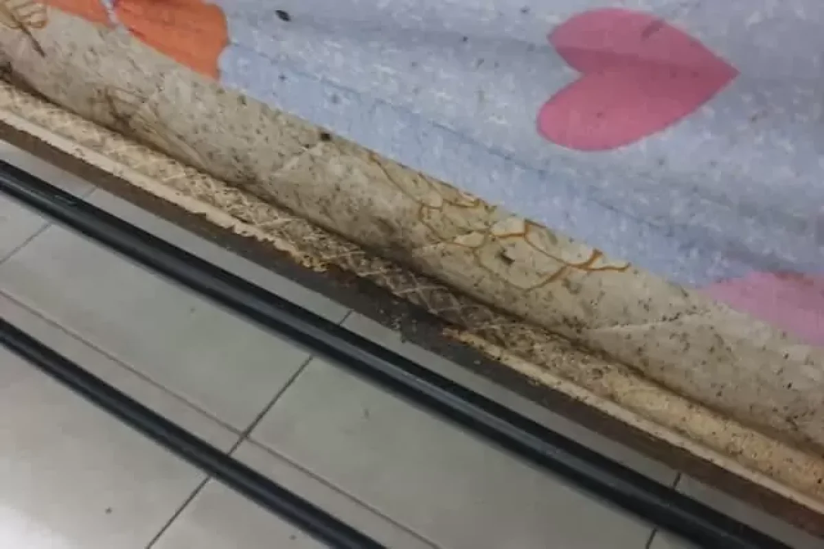4-facts-you-need-to-know-about-bedbugs-to-get-rid-of-them
