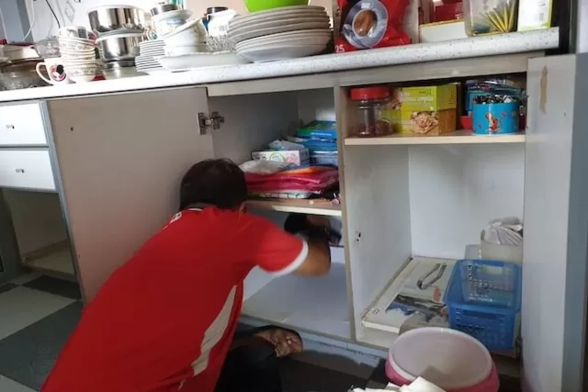 5-habits-to-maintain-if-you-want-to-have-a-pest-free-home