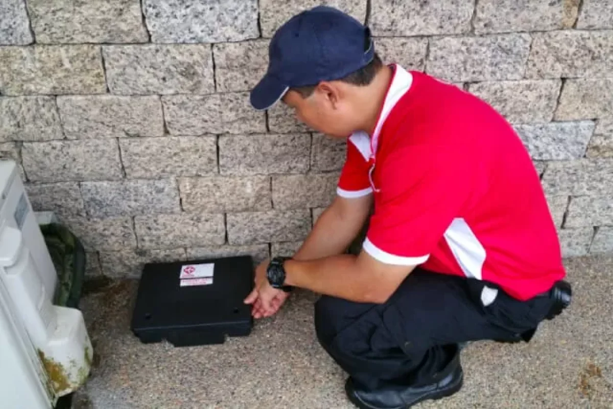 5-ways-to-help-you-deal-with-the-rodents-in-your-home