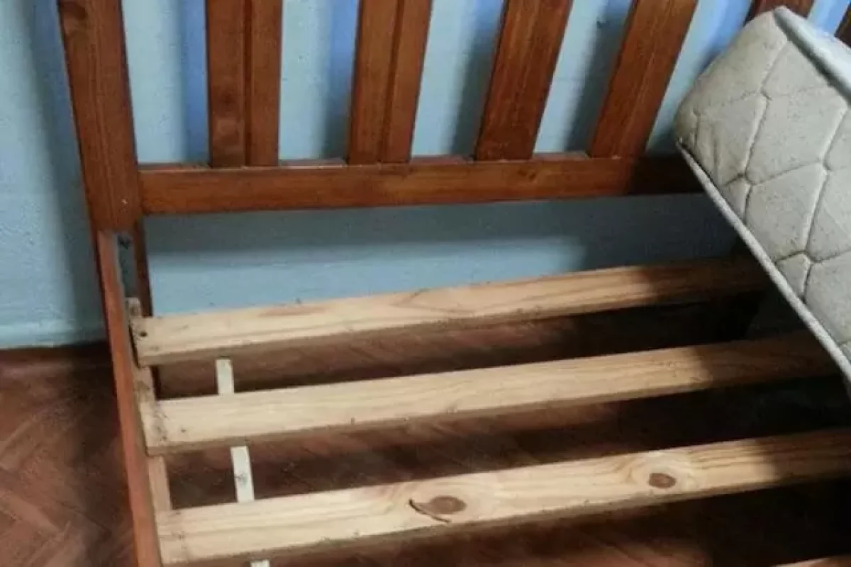 5-ways-youre-bringing-bed-bugs-home-without-knowing-it