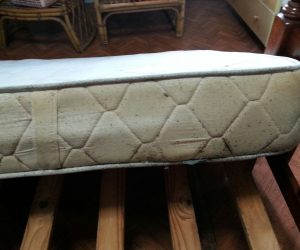 Bed-Bugs-Mattress Bed Bugs Mattress