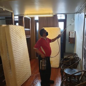 Bed Bugs Pest Control Singapore Spray