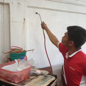 Bed Bugs Pest Control Spray