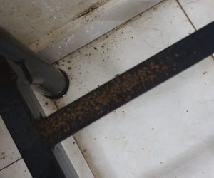 Bed-Bugs-Waste Bed-Bugs-Waste