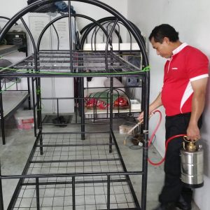 Beg Bugs Pest Control Singapore