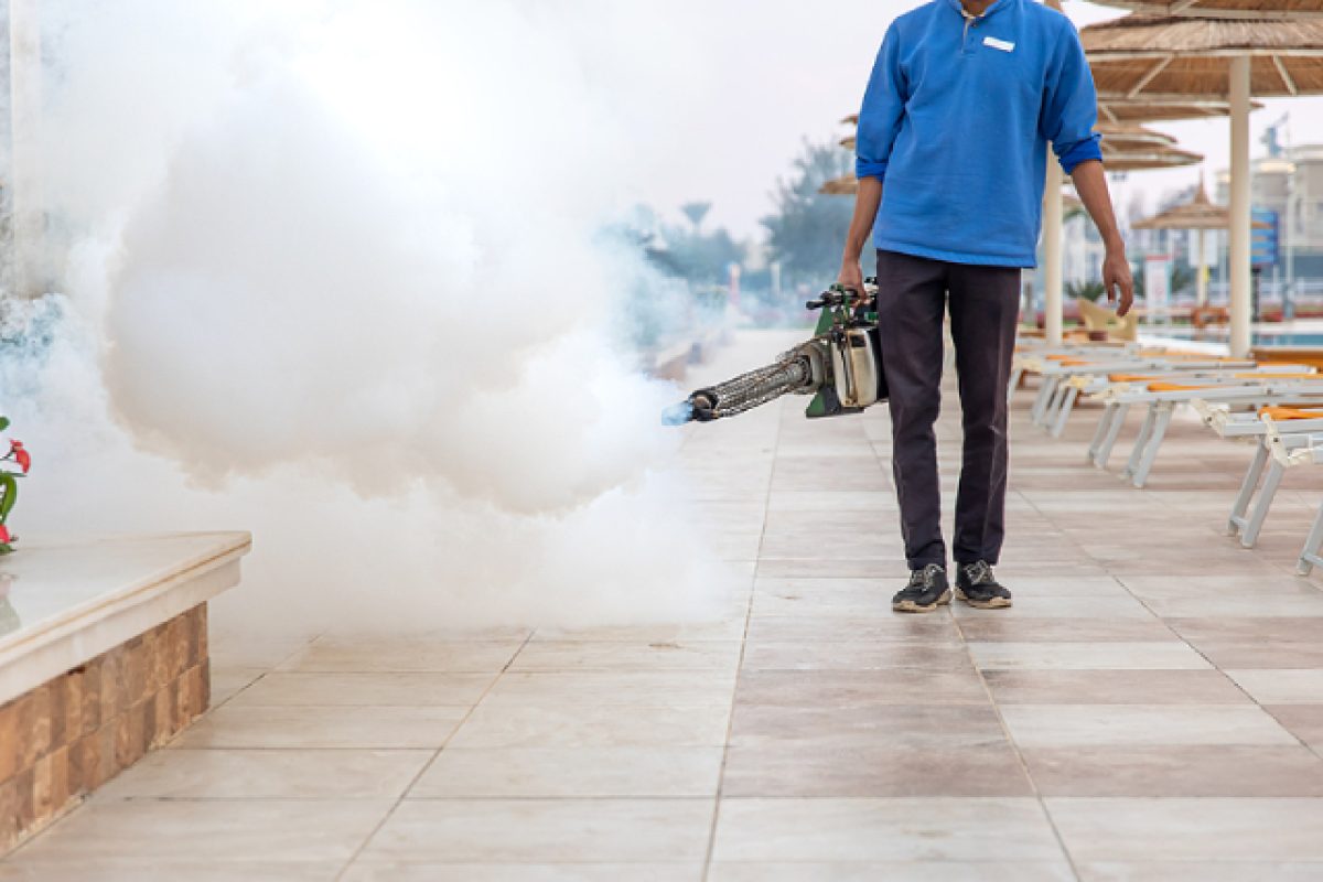 A Smart Pest Prevention Guide For Hotels And Hospitality