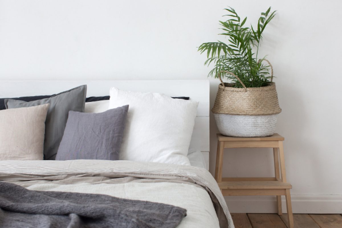 Beyond Bed Bugs: Identifying 3 Common Mattress Pests