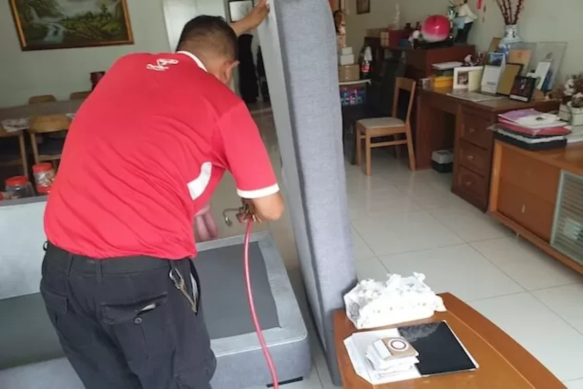 cmmon-pests-to-watch-out-for-at-home