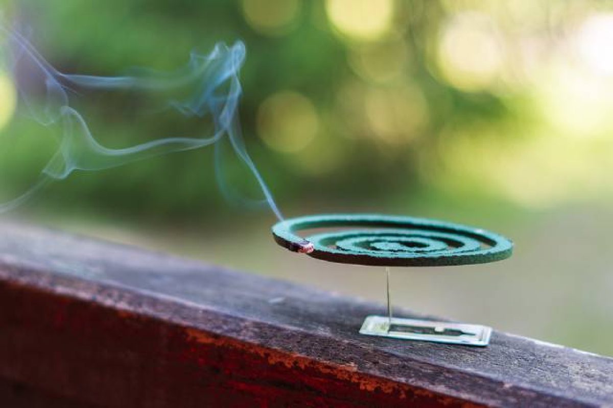 DIY Pest Control: Why It May Be Better To Call The Experts