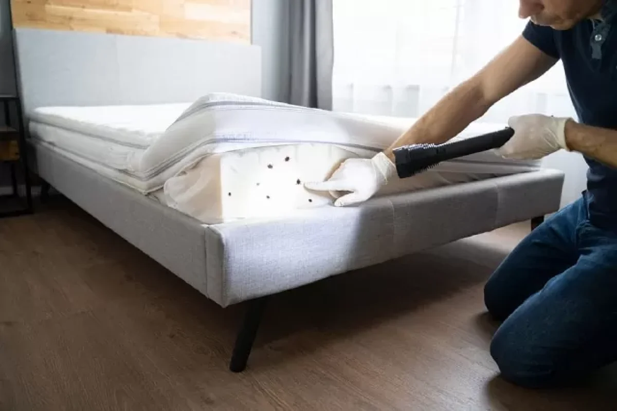 dont-let-the-bed-bugs-bite-4-tips-to-keep-them-at-bay