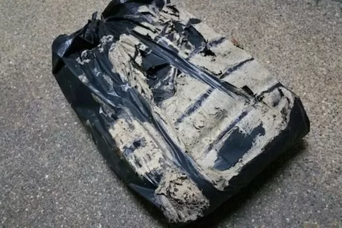 great-ways-to-achieve-successful-termite-control