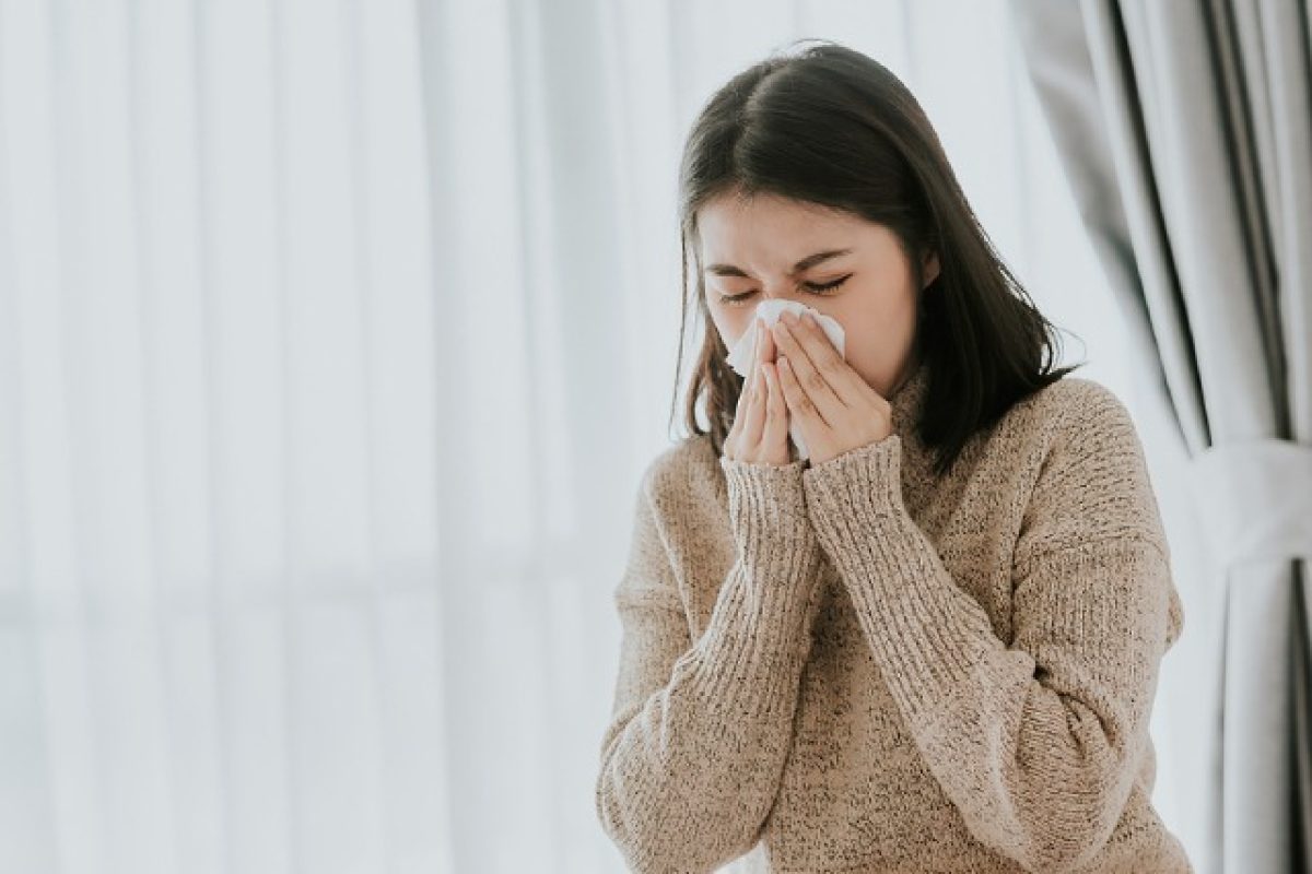 How Pests Can Trigger Allergies: What To Know To Stay Safe