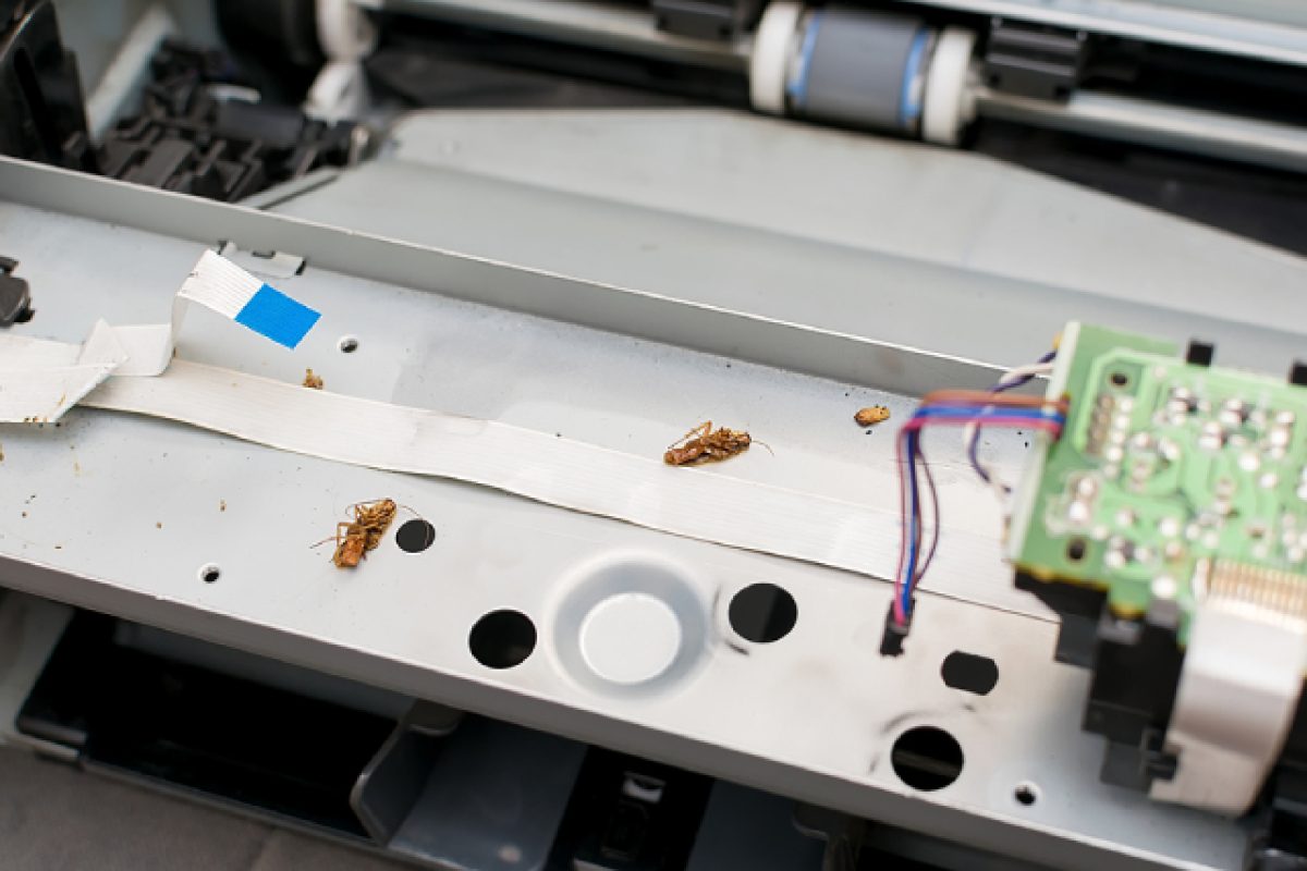 How Pests Quietly Destroy Your Everyday Electronics