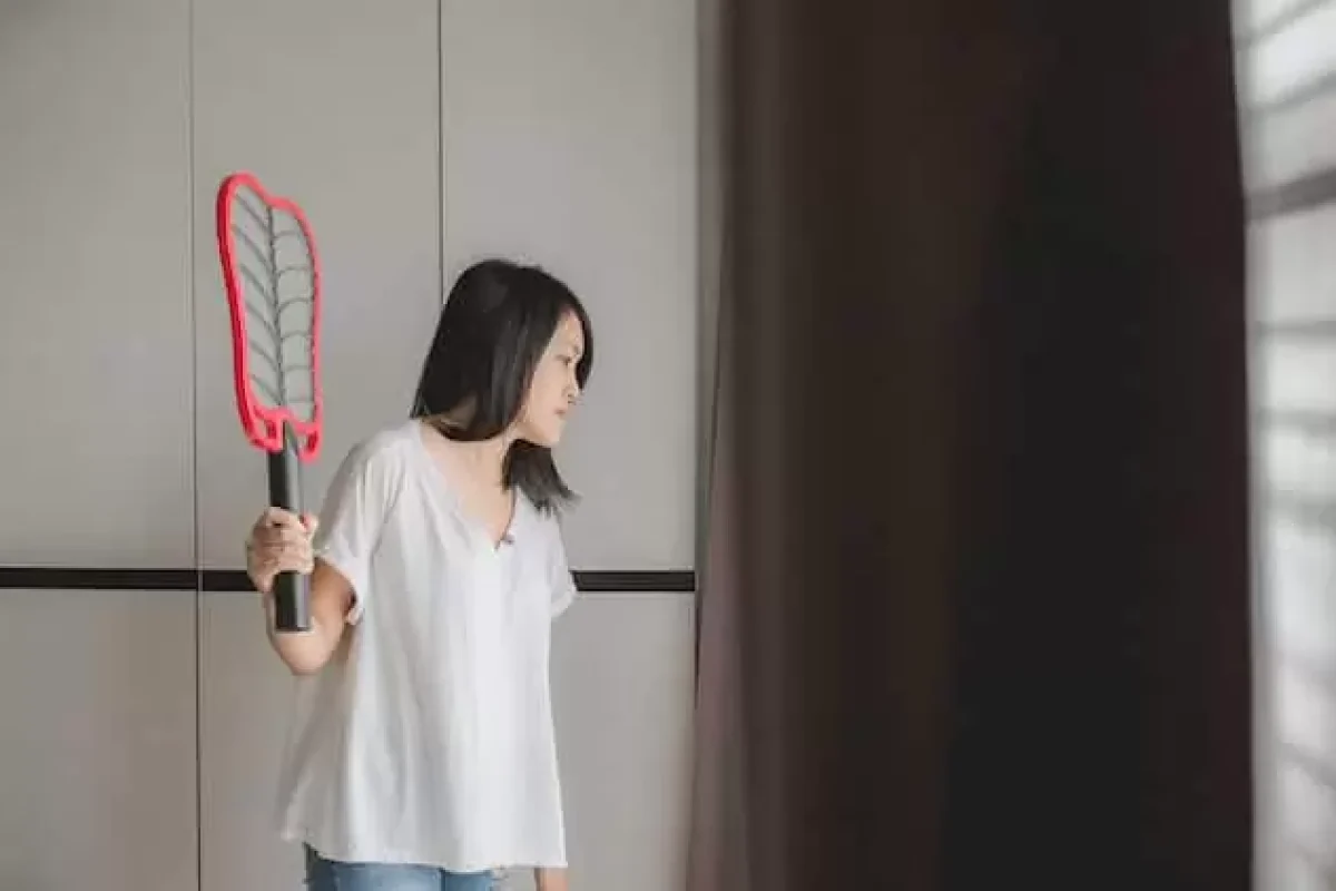 how-to-protect-your-home-from-pests-both-inside-and-out