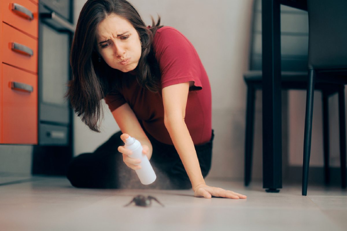 Knowing The Differences: Termites Vs. Ants In The Home