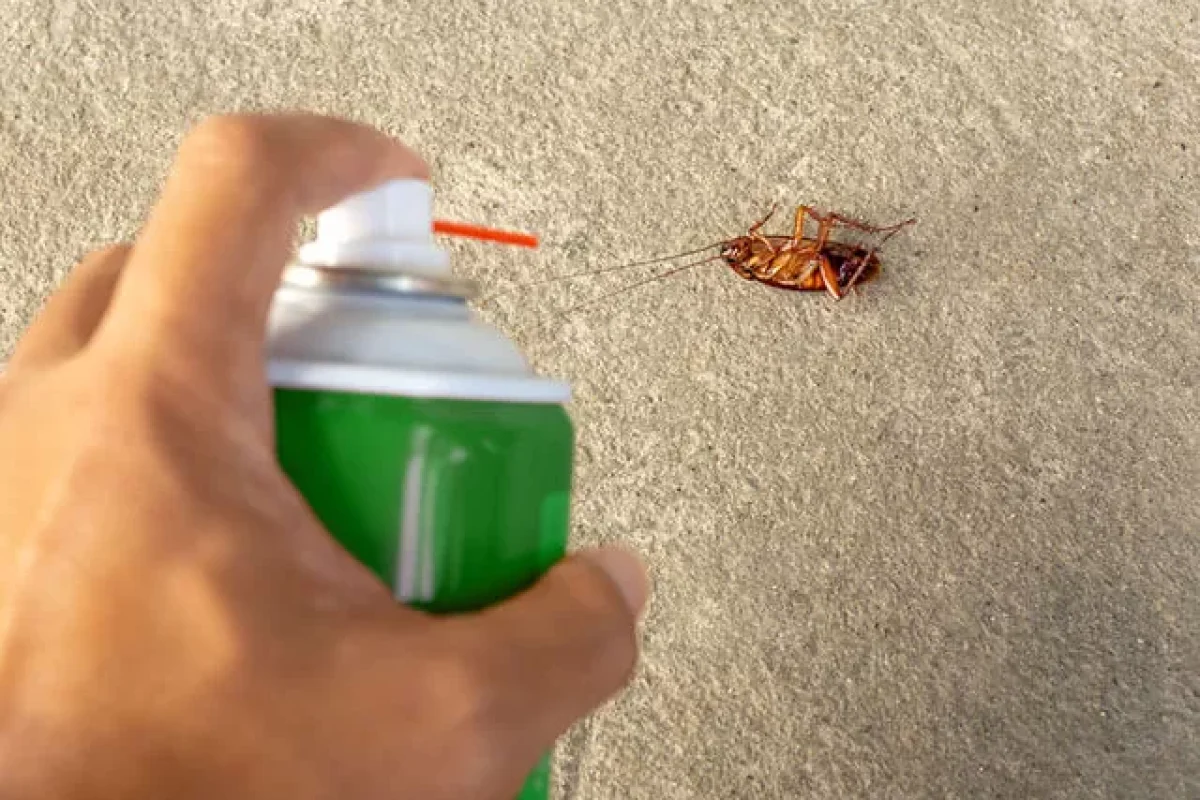 pest-control-products-why-they’re-safe-for-your-home