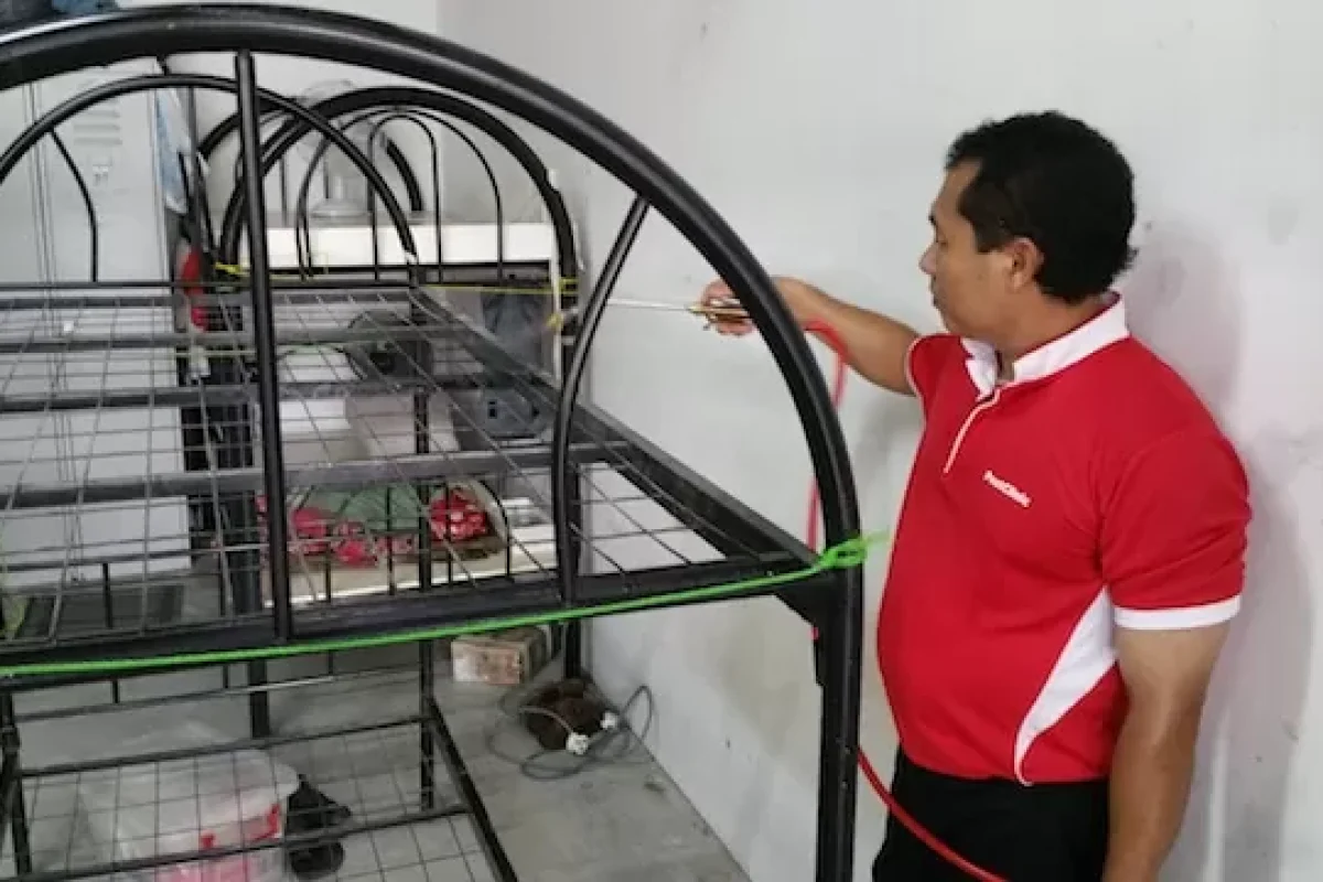 pest-control-services-an-essential-for-commercial-houses