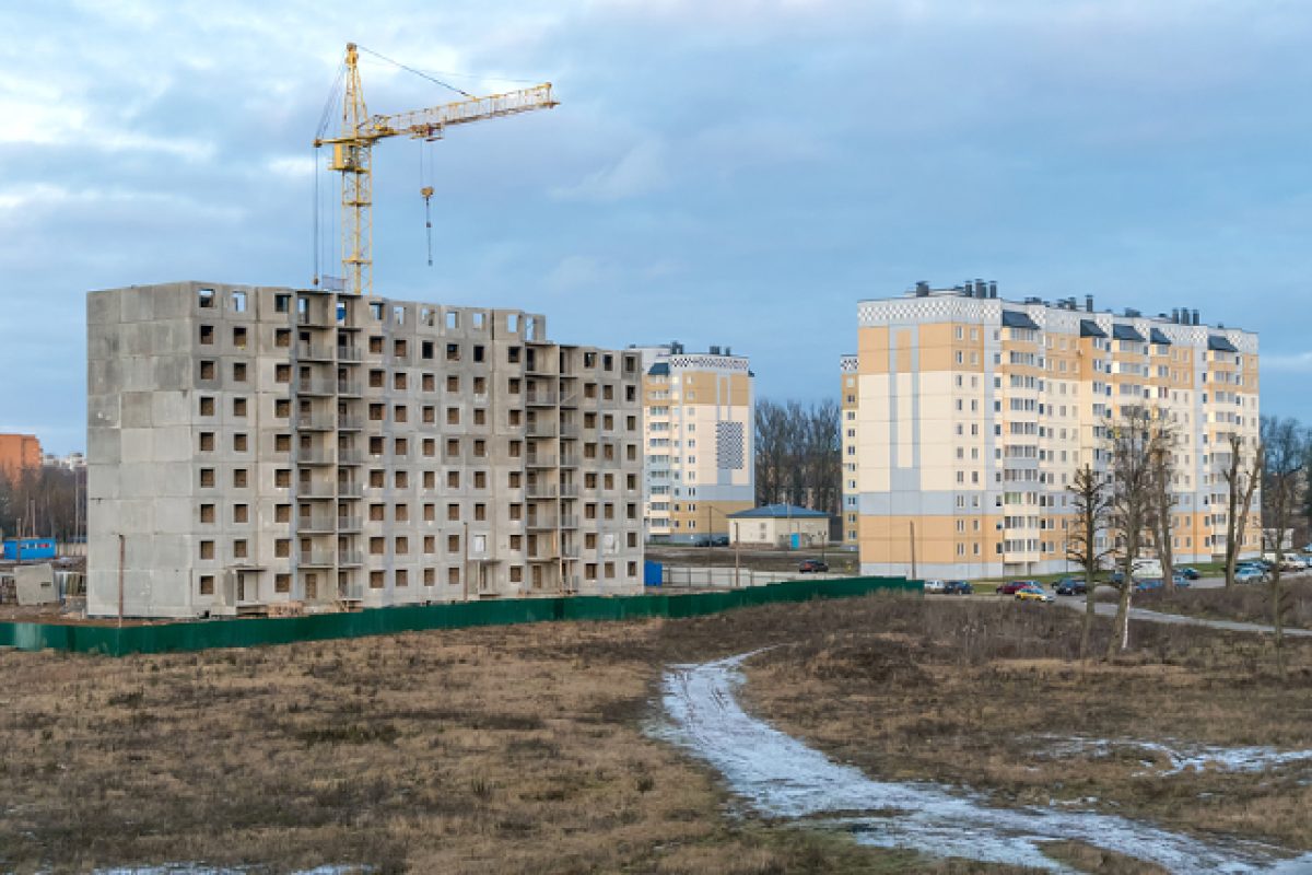 Pests In BTO Flats: Watch For These Common Pest Issues Pests In BTO Flats: Watch For These Common Pest Issues