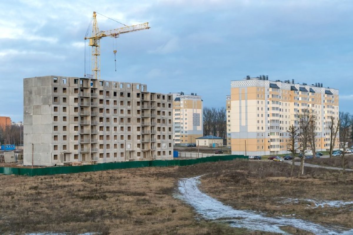 Pests In BTO Flats: Watch For These Common Pest Issues