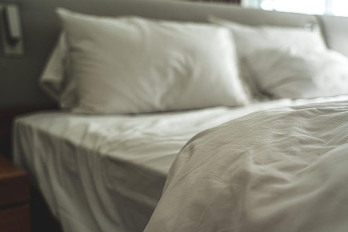 professional-bed-bug-treatment-in-singapore-whats-included-and-how-to-book