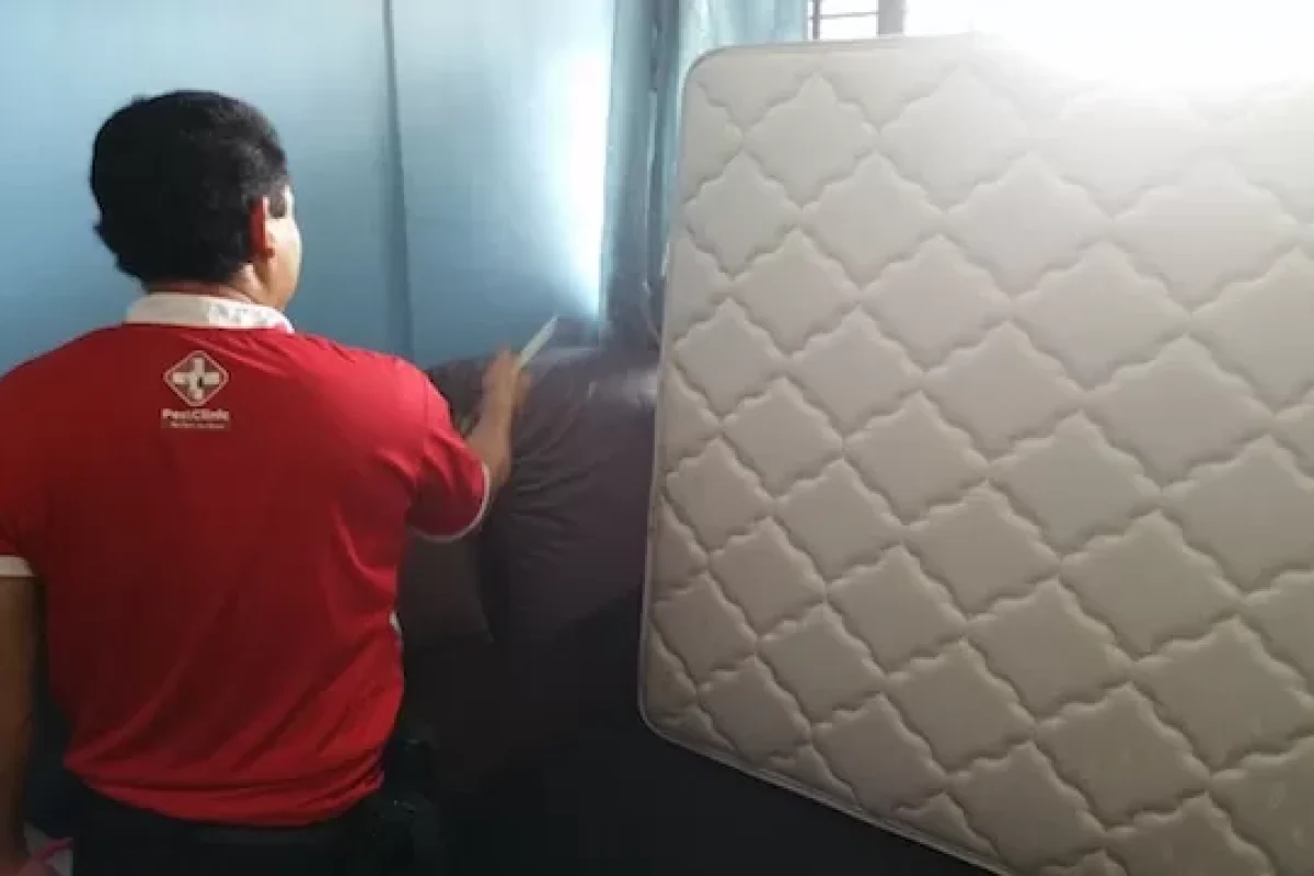 protect-your-home-from-a-pest-infestation-with-5-easy-steps