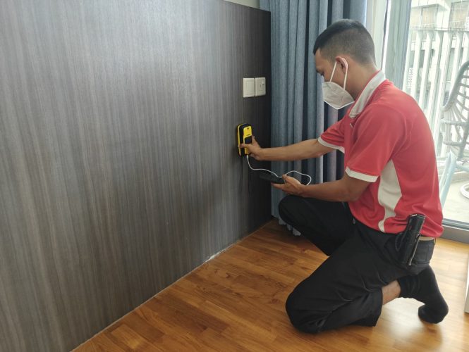 subterranean-termite-inspection-1