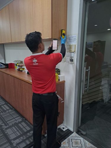 subterranean-termite-inspection-5