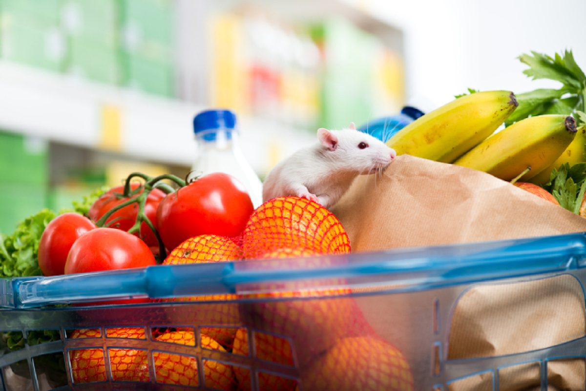 The Case For Industry-Specific Retail Pest Management