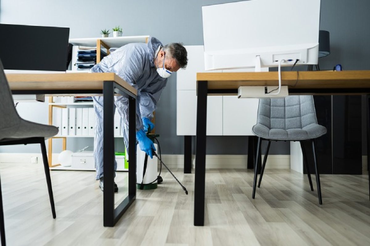 The Importance Of Pest Control In Ensuring Workplace Safety