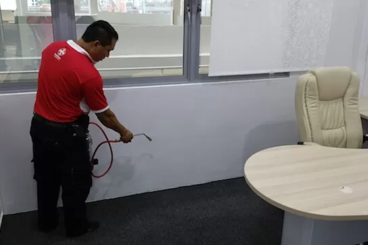 tips-to-help-you-in-fighting-pest-infestations