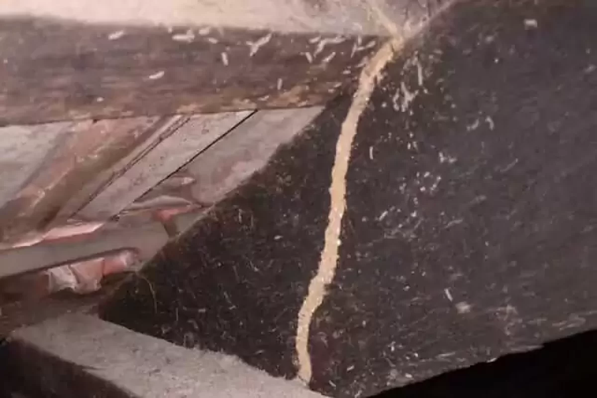 top-4-myths-about-termites-and-their-extermination-methods