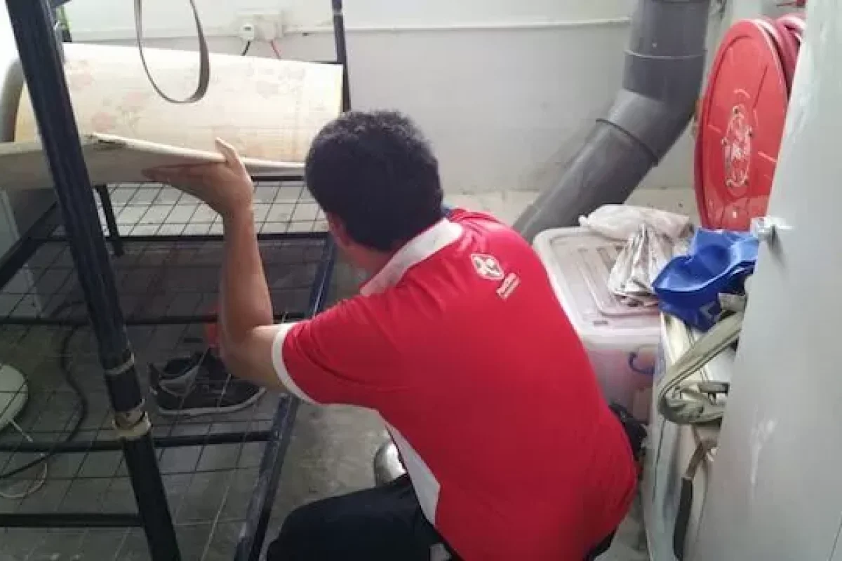 top-5-pests-you-should-watch-out-for-when-buying-a-home