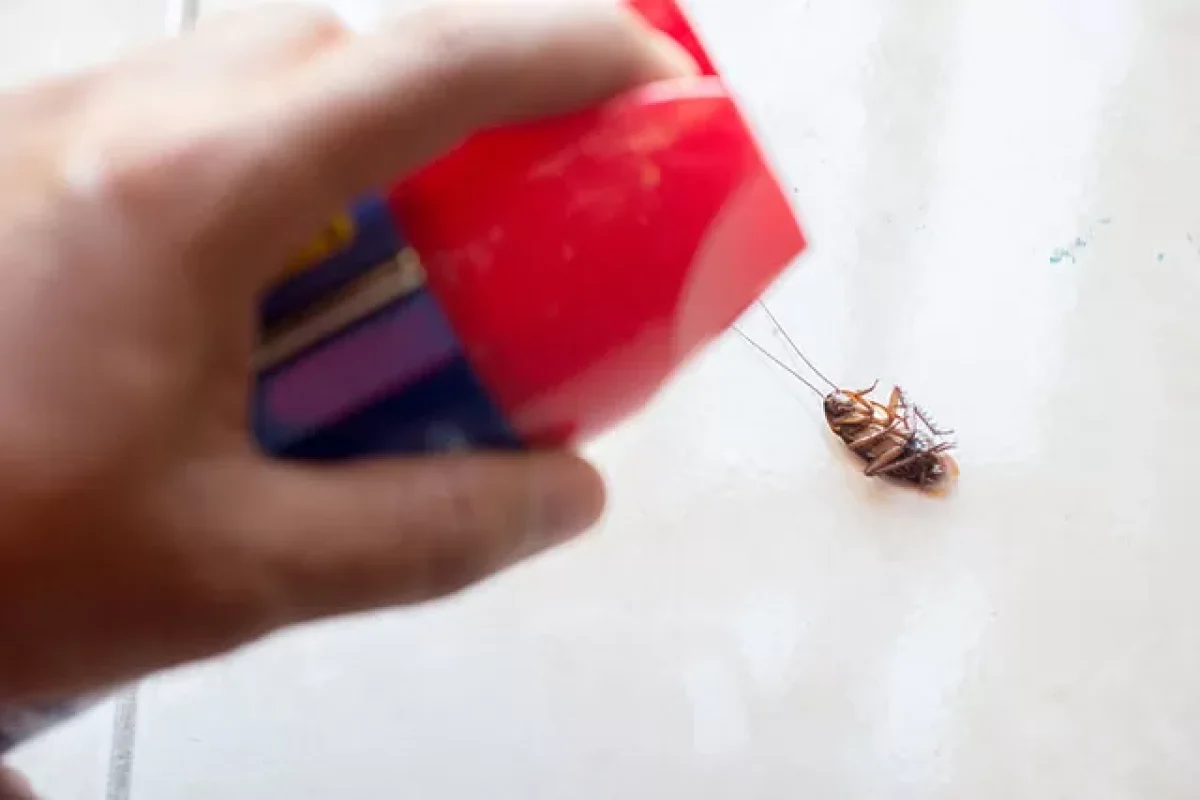 top-signs-that-your-home-is-pest-infested