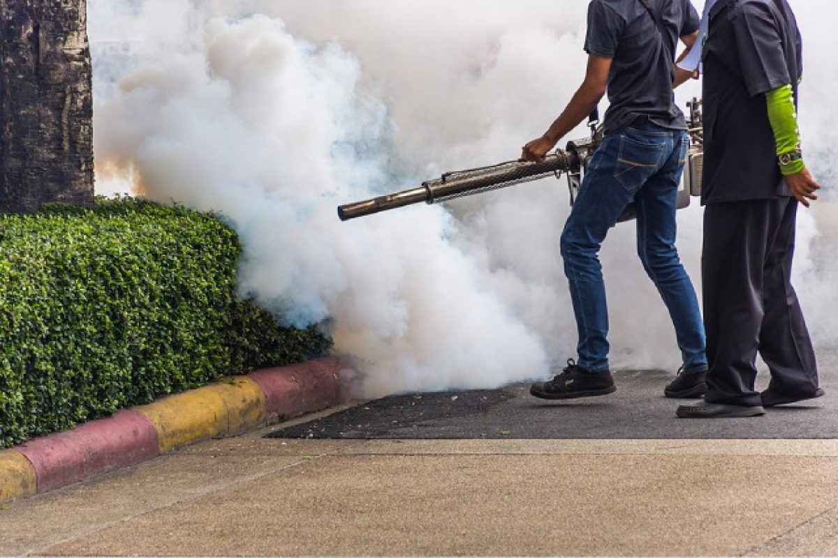 Types of mosquito pest control what kills them best