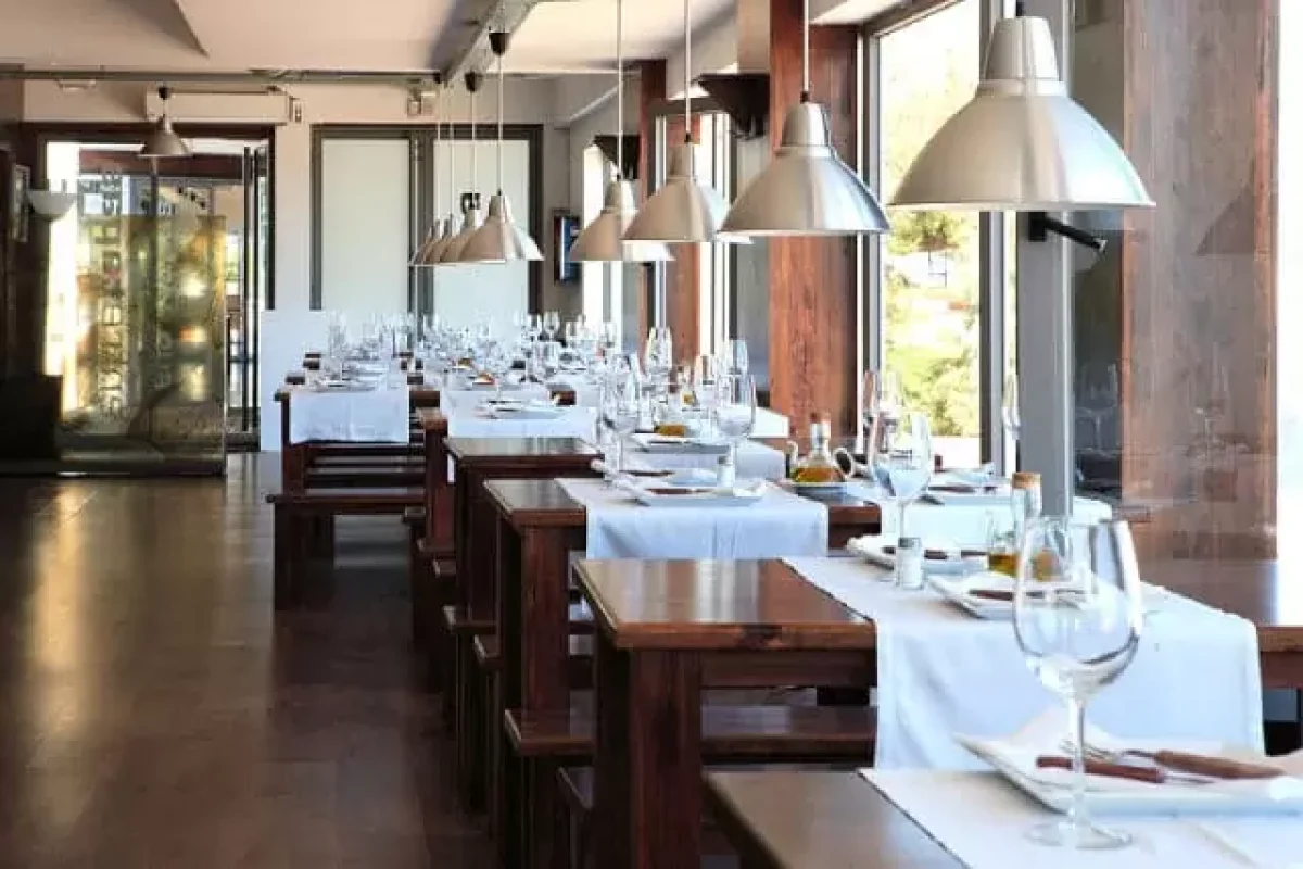 why-pest-control-is-crucial-for-your-restaurant-business